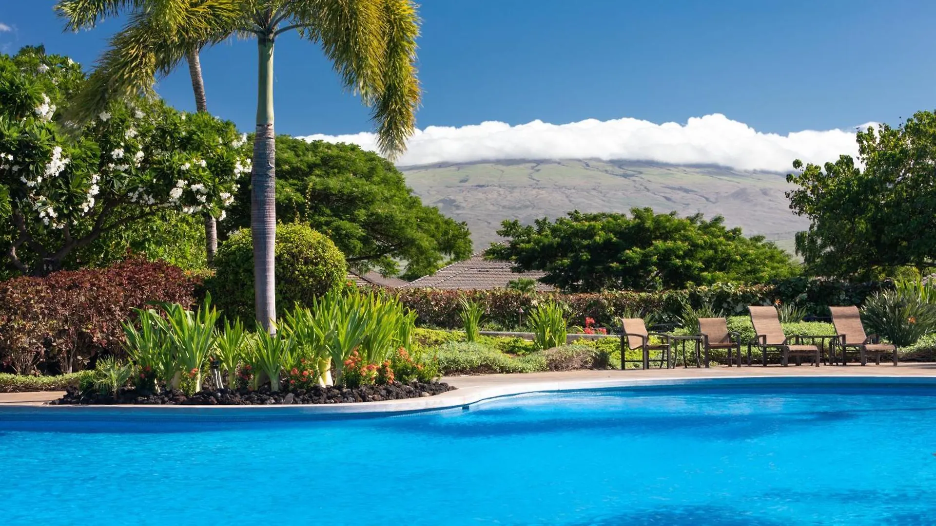 Dolphin Hale Inviting Kamilo 3Br Home With Private Beach Club Waikoloa Holiday home